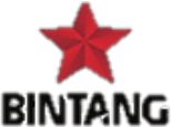 bintang